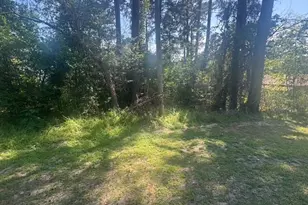 Tbd Evergreen Circle, Point Blank, TX 77364 - Photo 1