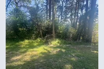 Tbd Evergreen Circle, Point Blank, TX 77364 - Photo 3