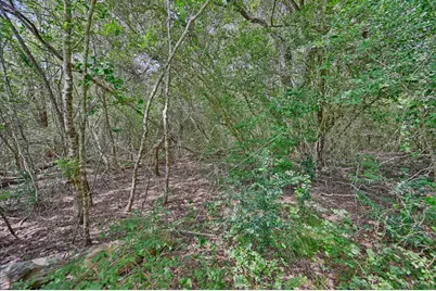 Tbd Fm 2981, Fayetteville, TX 78940 - Photo 27