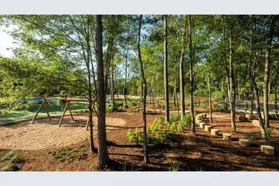 9608 Mount Brewer Lane, Porter, TX 77365 - Photo 17