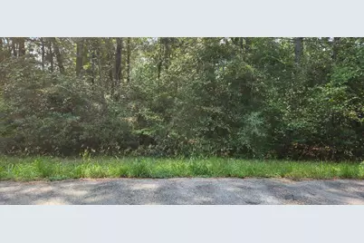 15218 Daniel Street, Magnolia, TX 77354 - Photo 5