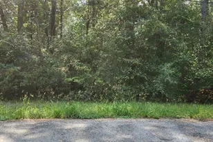 0 Daniel St, Magnolia, TX 77354 - Photo 5