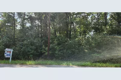 15218 Daniel Street, Magnolia, TX 77354 - Photo 3