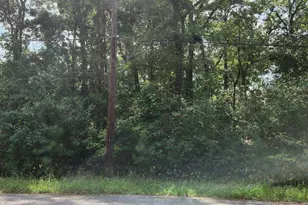 0 Daniel St, Magnolia, TX 77354 - Photo 3