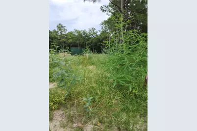 Tbd /0 W Hardy Road, Houston, TX 77073 - Photo 5