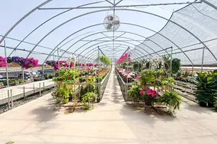 375 S Craigs Dr, Buffalo, TX 75831 - Photo 5