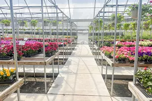 375 S Craigs Dr, Buffalo, TX 75831 - Photo 9