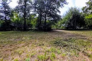 0 3rd St St, Batson, TX 77519 - Photo 3