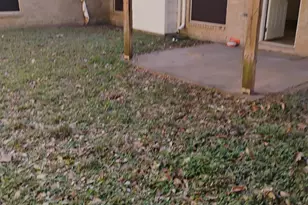 231 Cedar Elm Ln, Sugar Land, TX 77479 - Photo 29