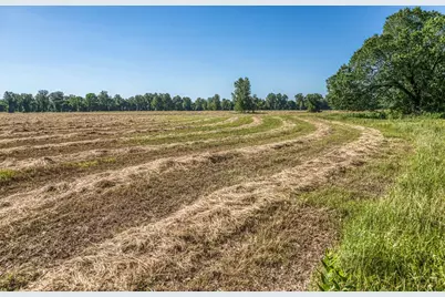 20755 Holle Lane, Washington, TX 77880 - Photo 21