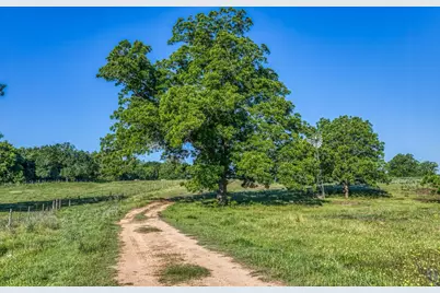 20755 Holle Lane, Washington, TX 77880 - Photo 15