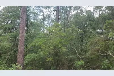 Lot 3 Scarlet Oak Drive, Plantersville, TX 77363 - Photo 7