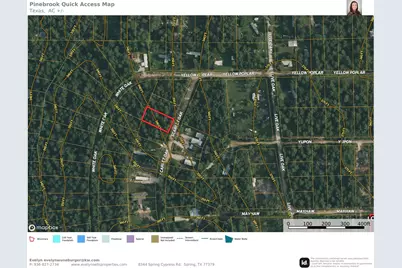 Lot 3 Scarlet Oak Drive, Plantersville, TX 77363 - Photo 1