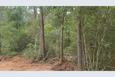 Lot 3 Scarlet Oak Drive, Plantersville, TX 77363 - Photo 1