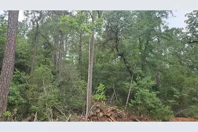 Lot 3 Scarlet Oak Drive, Plantersville, TX 77363 - Photo 17