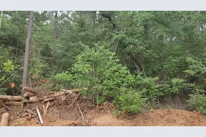 Lot 3 Scarlet Oak Drive, Plantersville, TX 77363 - Photo 15