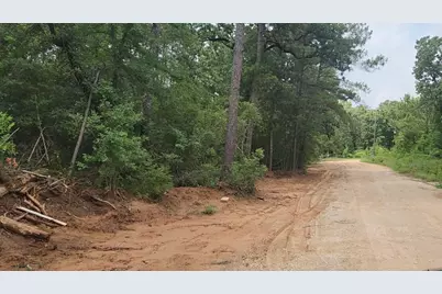 Lot 3 Scarlet Oak Drive, Plantersville, TX 77363 - Photo 17