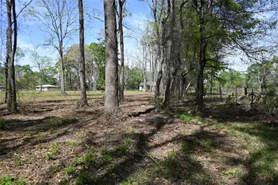 Lot 6 County Road 2360, Hardin, TX 77575 - Photo 7