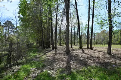 Lot 6 County Road 2360, Hardin, TX 77575 - Photo 5