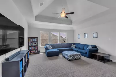 423 Round Top Street, Webster, TX 77598 - Photo 29