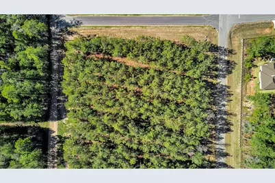 10999 Ruger Road, Willis, TX 77378 - Photo 25