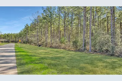 10999 Ruger Road, Willis, TX 77378 - Photo 3