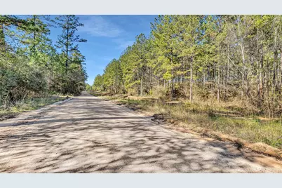 10999 Ruger Road, Willis, TX 77378 - Photo 11