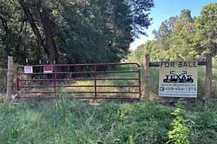 Na McGuire Rd, Liberty, TX 77575 - Photo 1