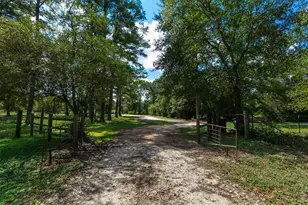 8119 Cr 209, Plantersville, TX 77363 - Photo 35