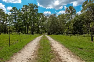 8119 Cr 209, Plantersville, TX 77363 - Photo 7