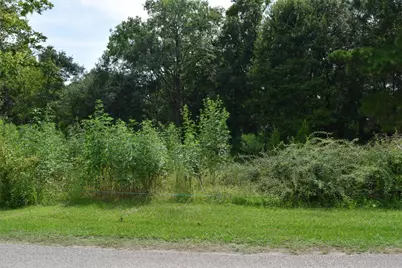 00 Belcher Road - Cr 397 Road, Manvel, TX 77578 - Photo 13