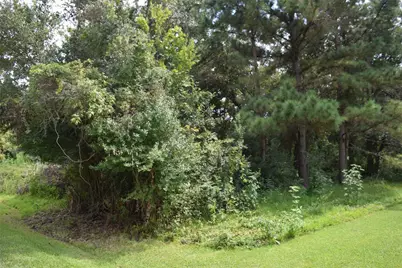 00 Belcher Road - Cr 397 Road, Manvel, TX 77578 - Photo 5