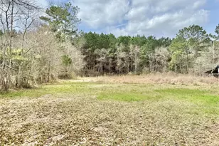 1831 County Rd 2235, Cleveland, TX 77327 - Photo 19