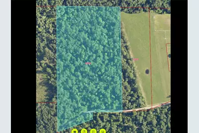 000 Post Oak Road, Kountze, TX 77625 - Photo 9