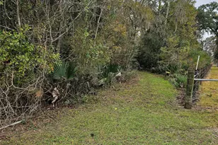 1070 County Road 136 / Live Oak, Van Vleck, TX 77482 - Photo 1