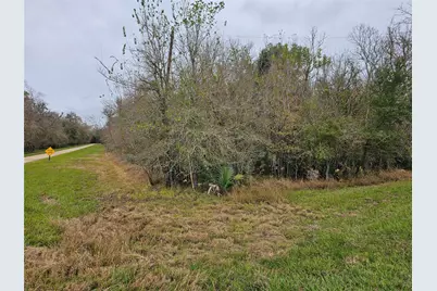 1070 County Road 136 / Live Oak, Van Vleck, TX 77482 - Photo 7