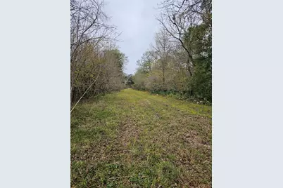 1070 County Road 136 / Live Oak, Van Vleck, TX 77482 - Photo 5