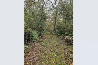 1070 County Road 136 / Live Oak, Van Vleck, TX 77482 - Photo 3