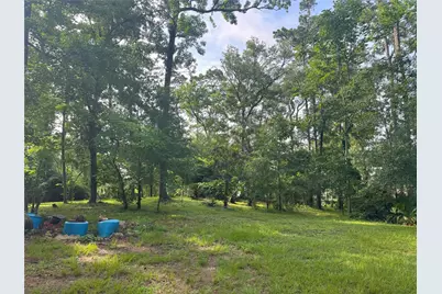 Tbd Lakeshore /Black Walnut Drive, Coldspring, TX 77331 - Photo 17