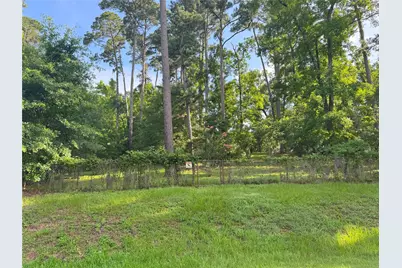 Tbd Lakeshore /Black Walnut Drive, Coldspring, TX 77331 - Photo 3