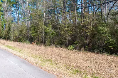 0 Forest Drive, Montgomery, TX 77356 - Photo 29