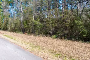 0 Forest Dr, Montgomery, TX 77356 - Photo 29