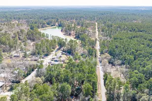 0 Forest Dr, Montgomery, TX 77356 - Photo 19