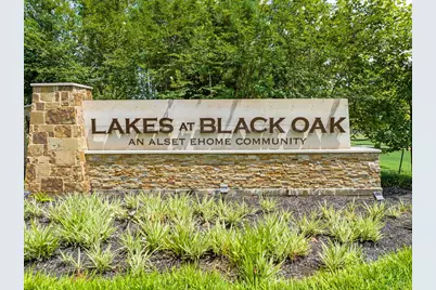 8610 Blueberry Ash Street, Magnolia, TX 77354 - Photo 43