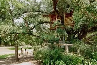 21911 Tawny Butterfly Drive, Cypress, TX 77433 - Photo 23