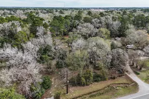 16010 Fm 3083 Rd, Conroe, TX 77302 - Photo 5