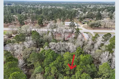 16010 Fm 3083 Road, Conroe, TX 77302 - Photo 7