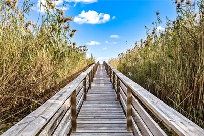 17215 Termini San Luis Pass Road, Galveston, TX 77554 - Photo 33