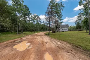 3130 Pine Rd, Cleveland, TX 77328 - Photo 29