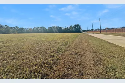 Tbd Blooming Rose Meadow, Tomball, TX 77377 - Photo 11